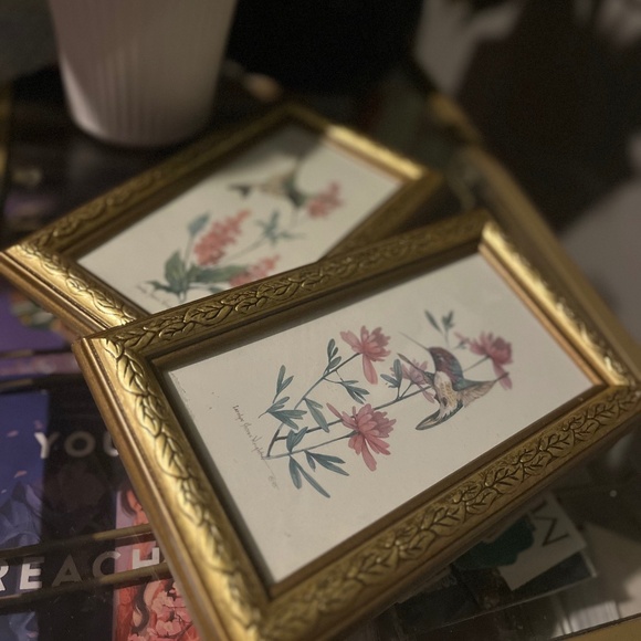 Carolyn Shores Wright Hummingbird Print - Picture 3 of 4